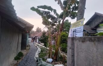 Ketua DPD IWO Indonesia Kabupaten Serang Suprani Apresiasi Transparansi Pembangunan Desa Purwadadi