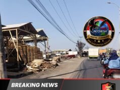 Pasca Kebakaran, Lapak Kayu Palet di Pantura Kedungwaringin Kembali Berdiri, DPD IWO Indonesia Kabupaten Bekasi Minta Evaluasi Menyeluruh