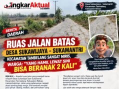 RUAS JALAN BATAS DESA SUKAWIJAYA–SUKAMANTRI SANGAT MEMPRIHATINKAN, VIRAL DI MEDIA SOSIAL — WARGA: “YANG HAMIL LEWAT SINI BISA BERANAK 2 KALI”