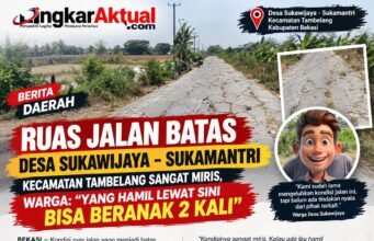RUAS JALAN BATAS DESA SUKAWIJAYA–SUKAMANTRI SANGAT MEMPRIHATINKAN, VIRAL DI MEDIA SOSIAL — WARGA: “YANG HAMIL LEWAT SINI BISA BERANAK 2 KALI”