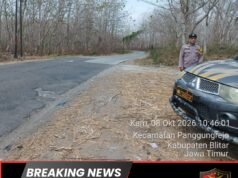Jajaran Polres Blitar Polsek Panggungrejo Patroli dalam Pencegahan Karhutla di Kawasan Perhutani