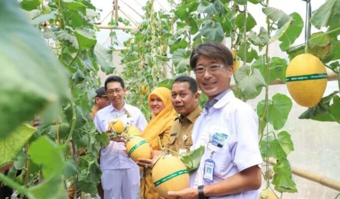 Bangun Green House Melon Premium, CSR Yutaka Buka Peluang Ekonomi Warga