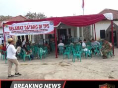 Pemilihan Kepala Desa Antarwaktu (PAW) Desa Tanjung Sari Berjalan Lancar, Aman, dan Damai